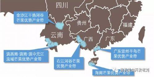 51精产区一区区二免费,免费探索的宝藏之地”