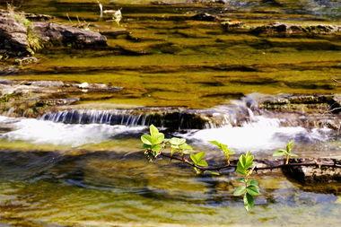 日韩吃瓜 第4页